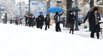 117년 만에 11월 최대 폭설에…전국 하우스·축사 110㏊ 피해