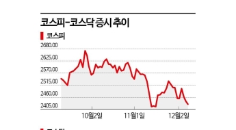 "월급이 줄었다" 결국 국민이 지불한 '계엄비용'…경제적 손해도 천문학적