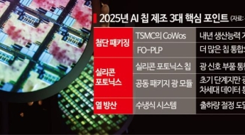 TSMC, 美공장 비용 폭탄에도 내년 매출 25% 성장? 이유는[대만칩통신]