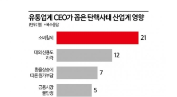 계엄사태, K브랜드 수출 '발목'…탄핵의 강, 소비침체 '격랑'