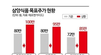 '목표주가 100만원'…삼양식품, 내년 황제주 등극할까