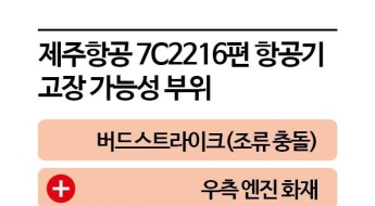 랜딩기어 못내린 제주항공 여객기…최악의 상황 다 겹쳤을수도