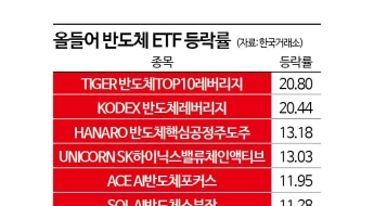 올해에만 20.8% '껑충'…잘나가던 이 종목, 삼성전자만 바라보는 까닭