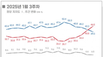 구속된 尹대통령 소속정당이 '지지율 1위'…여론조사 어떻게 된건가[정국돋보기]