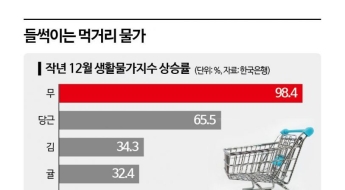 '박근혜 탄핵' 데자뷔?…식품가격 도미노 인상 '우려'