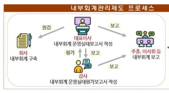 내부회계관리제도 위반 15건…금감원 