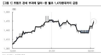 "트럼프 원맨쇼…오버슈팅시 환율 1500원선 열어둬야"