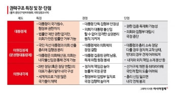 국회 개헌특위도 합의했던 '오스트리아식 이원정부제'