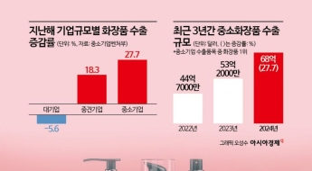 'K뷰티' 숨은 주역 콜마 vs 코스맥스…해외법인 '복병'    