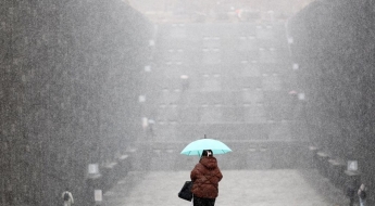 雪雪 기었지만 雪렜다