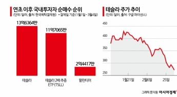 테슬라 32% 빠질 때 서학개미 '2조 베팅'