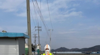 천안 산란계 농장서 고병원성 AI 확진…방역 강화