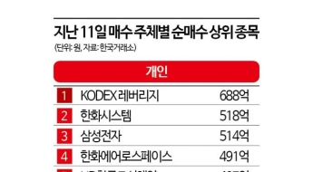 하루만에 반등한 코스피, 개인 나홀로 웃었다