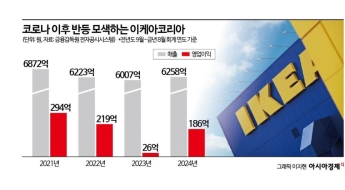 한국 진출 11년 만에 '파격 결정'…쇼핑몰 승부수 띄운 이케아 