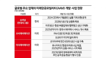 정의선의 항공모빌리티 '뚝심'…슈퍼널 "미국 넘어 인도 진출도 검토"