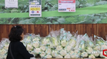 농산물값 절반 이상은 '유통비용'…배추·무는 최대 70%