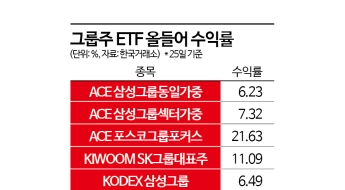 올들어 가장 잘나간 그룹주 ETF는 '한화'