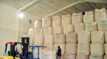 꺾이지 않는 쌀값에…정부