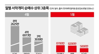 판돈 늘리는 서학개미…미장 랠리 이어질까