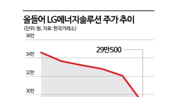 이차전지株, 줄줄이 신저가…멀기만 한 주가 회복