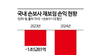 손보사 재보험손익 적자 첫 2조원 넘어섰다