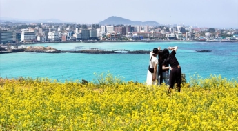 "수학여행 100만원, 동창회 200만원"…'바가지 논란' 제주 파격 카드