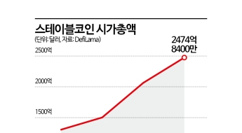'뜨거운' 원화 스테이블코인 도입…테더 대항마 vs 가속화 논쟁 중