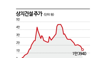 정치 테마주 몰락…대박 꿈꿨으나 계좌 반토막