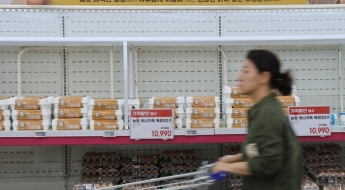 식탁 압박하는 에그플레이션…미국산 신선란 해법될까?