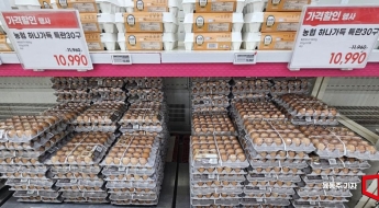 계란 다시 7000원으로…조류 AI에 수급 불안까지