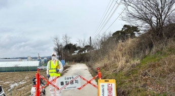 충남 서산 육용오리 농가서 AI 항원 검출…2만8000마리 살처분