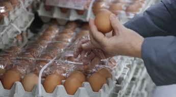계란값 7000원 넘었다…대형마트 