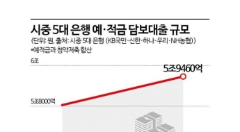 영끌족, DSR 안잡히는 '틈새대출'까지 탈탈…연초 대비 예담대 1000억 ↑