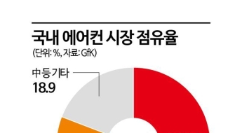 '무섭네' 청소기 다음은 에어컨…안방 차지하려 '저가' 내세우는 中가전