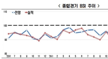 기업경기 전망, 3년4개월 연속 기준선 하회…