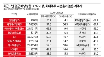 신고가 행진 지주사…옥석 가리기는 어떻게