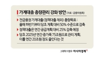 가계대출 20조원 줄인다는데…은행 실적 우려 적은 이유는