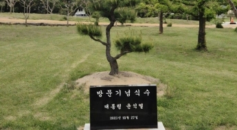 병산서원 입구 '尹 기념식수 비석' 사라져…안동시 파악 나서