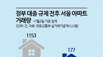 6·27 대책 약발 먹히나?…서울 아파트, 거래 감소·가격 흔들 '징후'
