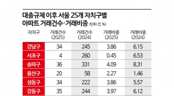 대출규제 후 6억 이하 서울 아파트로 몰렸다…12억 이상 거래 뚝