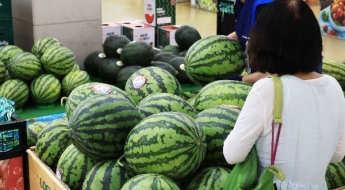 수박 한 통 3만원 육박…폭염에 농산물 값 줄줄이 급등