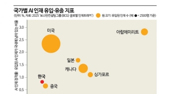 "판교 카페선 헤드헌터들 명함 돌리더라"…'많아야 1억' 받는 한국인에 러브콜[빅테크에 뺏기는 AI인재②]