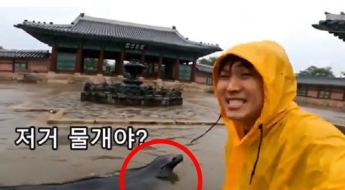 "폭우에 잠긴 경복궁서 '물개'가 헤엄쳐"…"실감 나지만 속지는 않아"