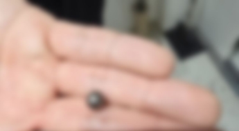 아들 사제총기 살해범 