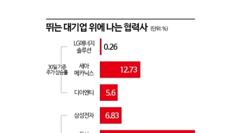 대형주 '꿈틀'에 협력사 '펄쩍'…수주 잭폿 주인공 따로 있네