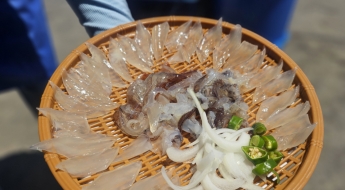 "한 마리 안팔고 두 마리 5만6000원…초장 달라니 투덜" 오징어난전 이번엔 바가지 논란