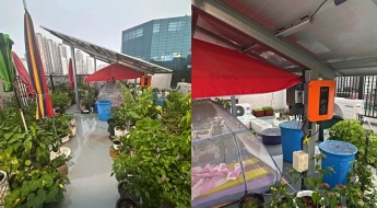 "이럴 거면 그냥 혼자 살아"… '식물 빌런' 옥상·주차장 점령에 입주민 분통