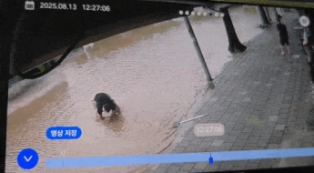 배수구 4개 뚫고 15분 만에 도로 정상화…인천 '고무장갑 의인'