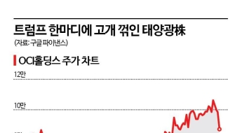 트럼프 한마디에 11% '폭삭'…비상 걸린 태양광株