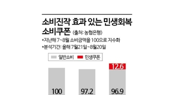 소비 진작 효과 나타낸 민생쿠폰…사용처 1위는